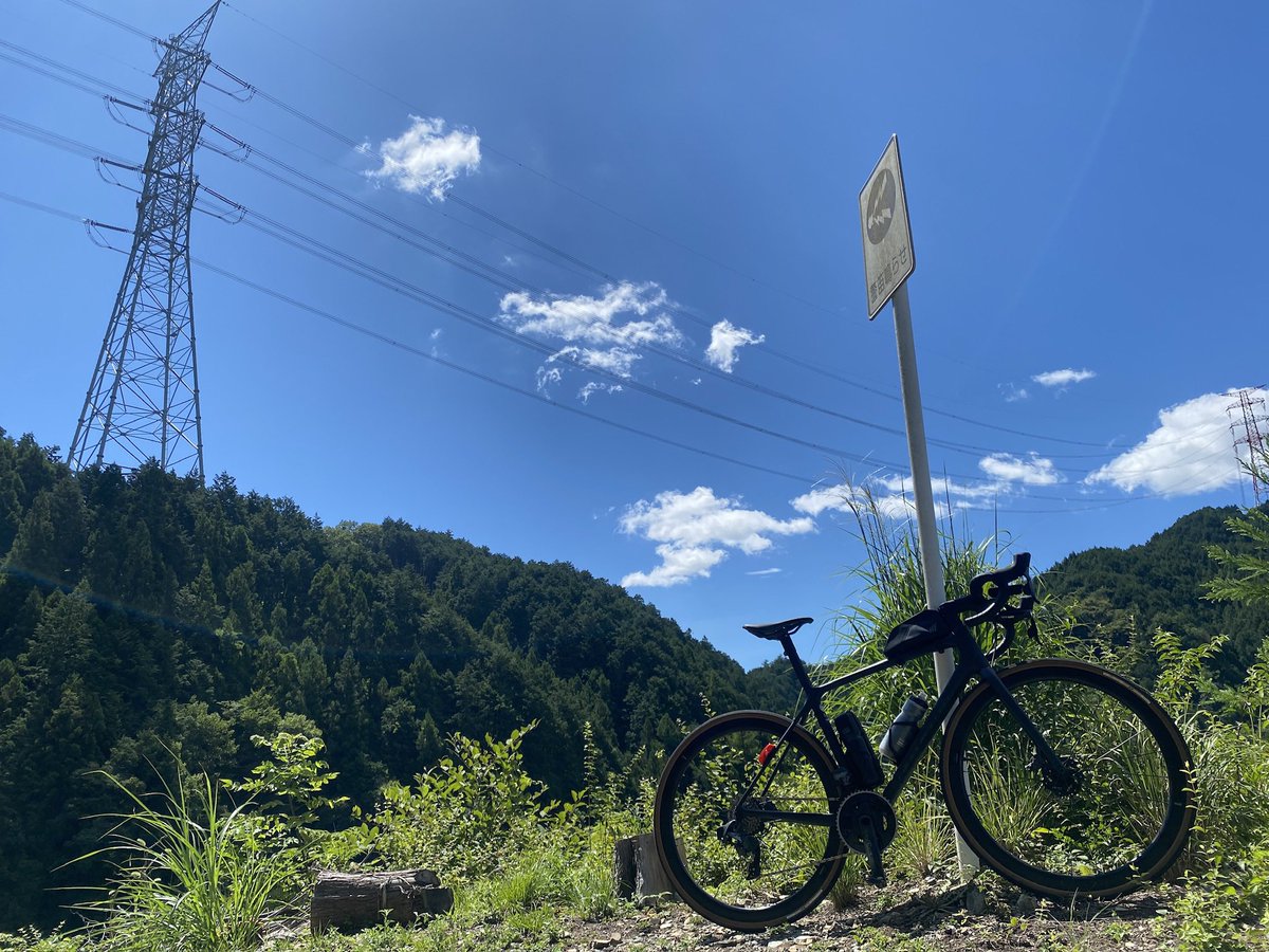 dd_iroha's tweet image. 夏の暑さに
　警笛鳴らせ