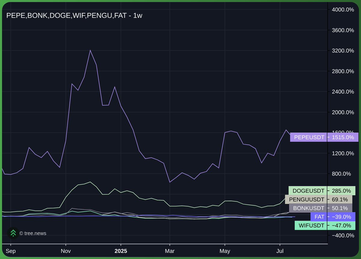 Summer 🗿 tweet media