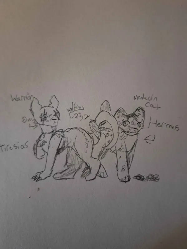 Wolfie232YT's tweet image. Hermesias as Cats but as Warrior cats
(my hc are silly trust)