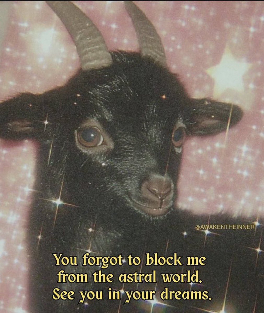 JIMMYEDGAR's tweet image. life is so endlessly entertaining im gonna miss it when im not around anymore
but i always think once its over, you may not even remember anything bc whats after may be so distracting