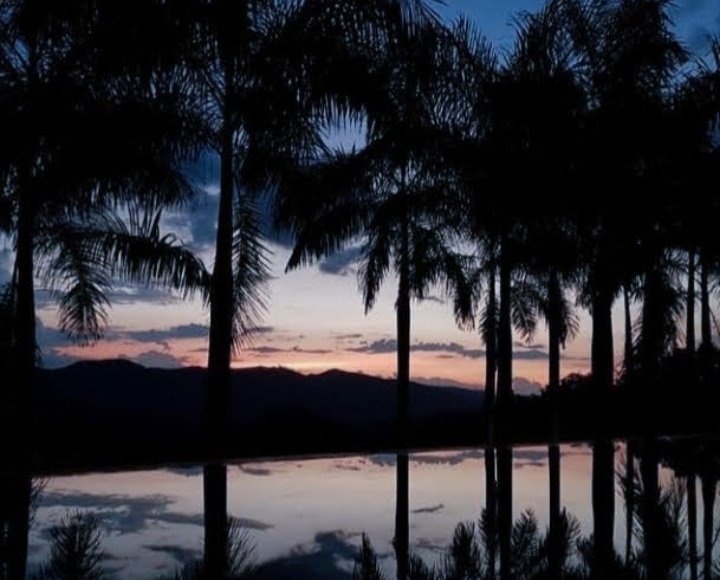 andreash1's tweet image. En la noche te hablaré con la lámpara apagada&quot;

_Wislawa Szymborska

#Twittoff