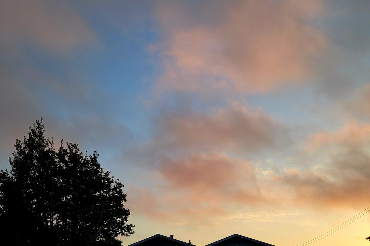 lone_wolf__1's tweet image. an early goodnight
hope everyone had is having a good july
thank you goodnight be safe
tomorrow's another day
n a t u 🕊️
never accept the unacceptable