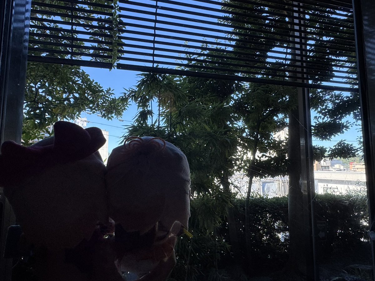 onasu19730801's tweet image. 🍡🍊)外から蝉の鳴き声がすごいですわ
いずみさん、クマゼミの鳴き声らしいよ。
🍡🍊)ぽかさんの所のミンミンゼミとはだいぶ違いますね。
#道後温泉
#道後泉海
