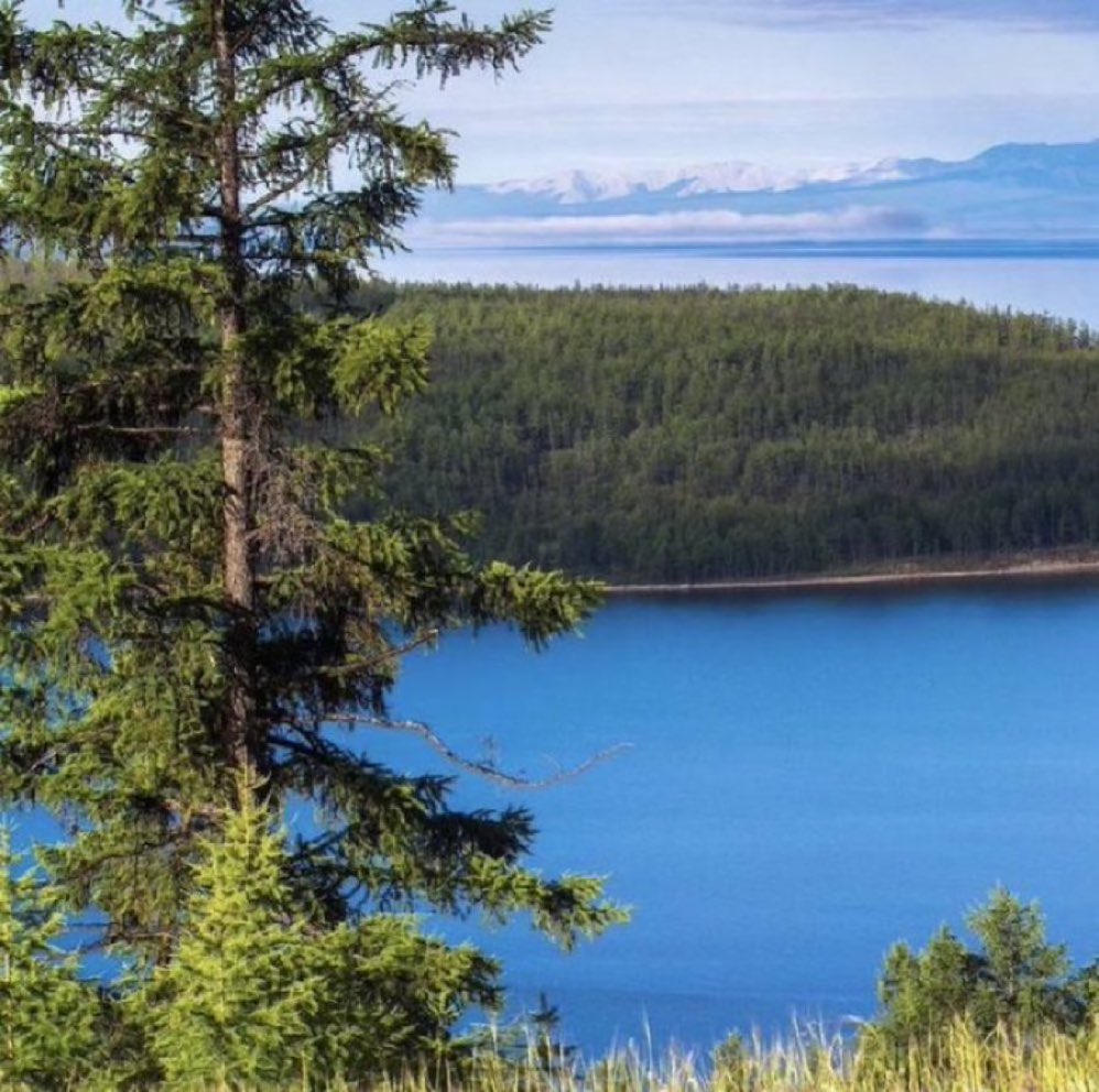 Зуны адаг сарын шинийн 4-ний өдрийн мэндээ