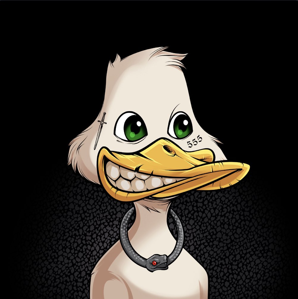 JIMBOcnft's tweet image. Bring back 2k ADA floors for Animal pictures!

@ChilledKongs @MallardOrder @spacebudznft