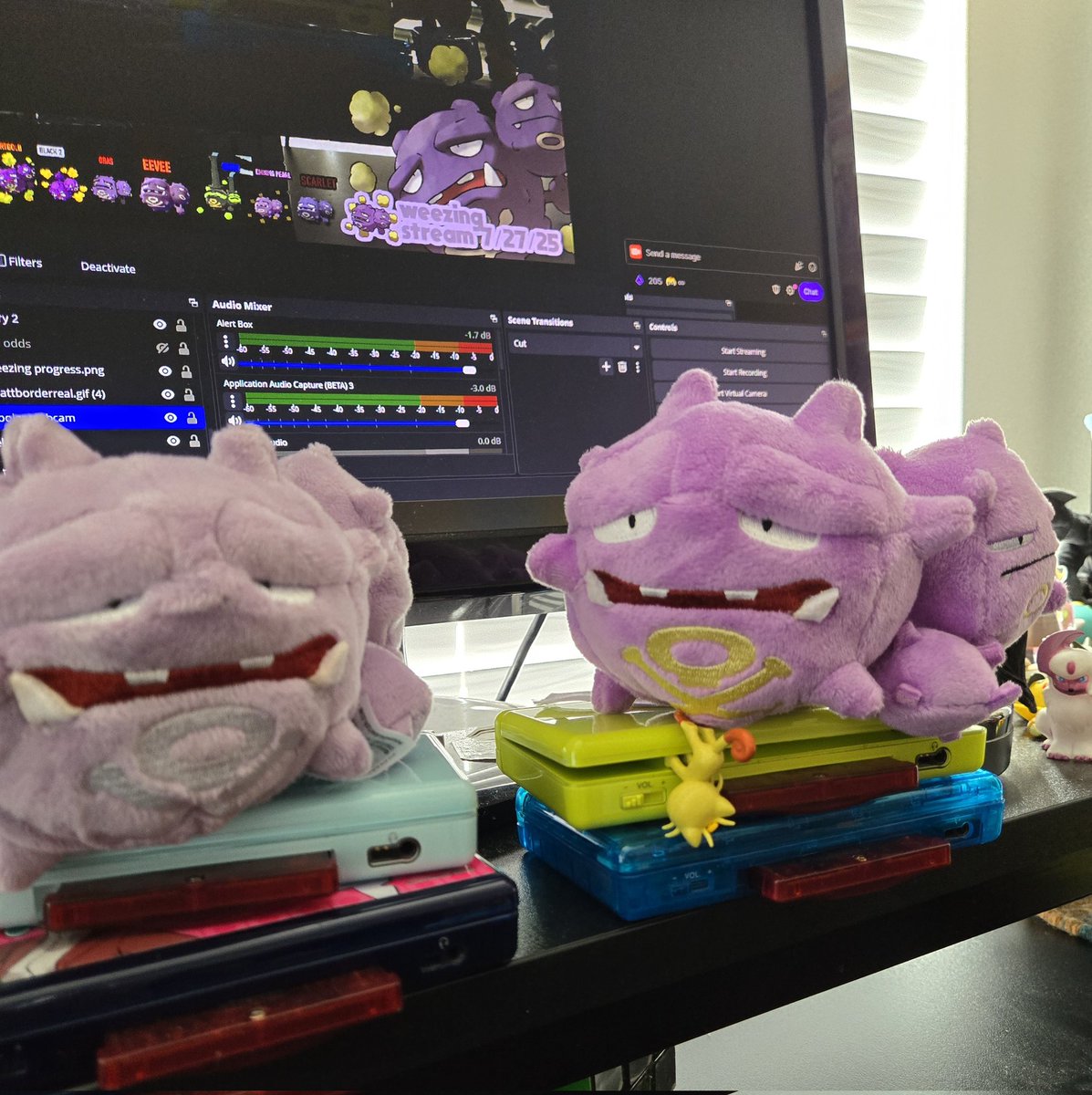 TheAbsol's tweet image. It took a Weezing stream to realize there are 2 different Weezing Sitting Cuties plushes!?!?!? Are there any others like this??