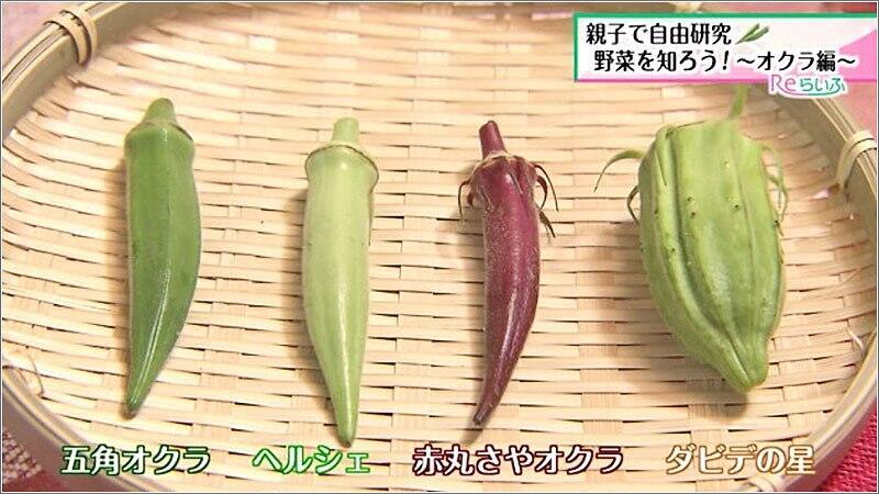 3hoo5's tweet image. 7月28日( *ˊᗜˋ)ノꕤ*.゚おはよーございますꔛ❣⃛
今日は『菜っ葉の日』
夏の葉物野菜は、ほかの夏野菜と比べて
ビタミンや鉄分など幅広い栄養素で健康維持を多面的にサポートしてくれる点があります。…