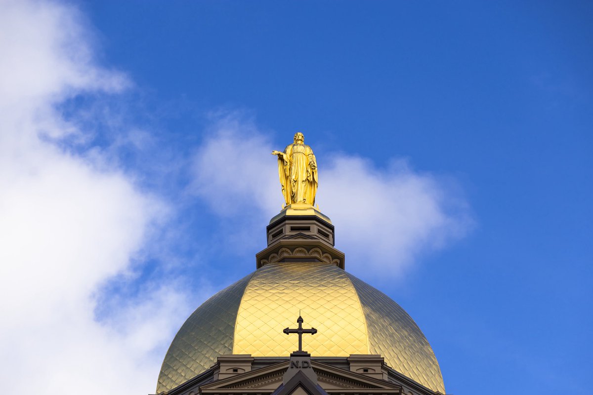 Golden as ever under summer skies

#GoIrish☘️