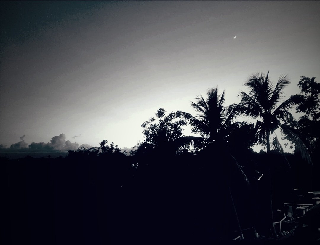 Xavier Riondet (@xavierriondet) on Twitter photo 