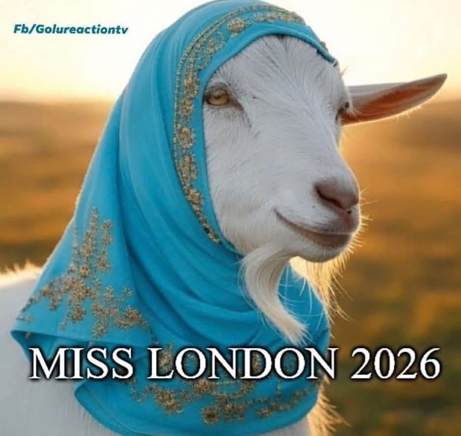 hshLauraJ's tweet image. Applications are now being accepted…..
🤔🤔🤔
