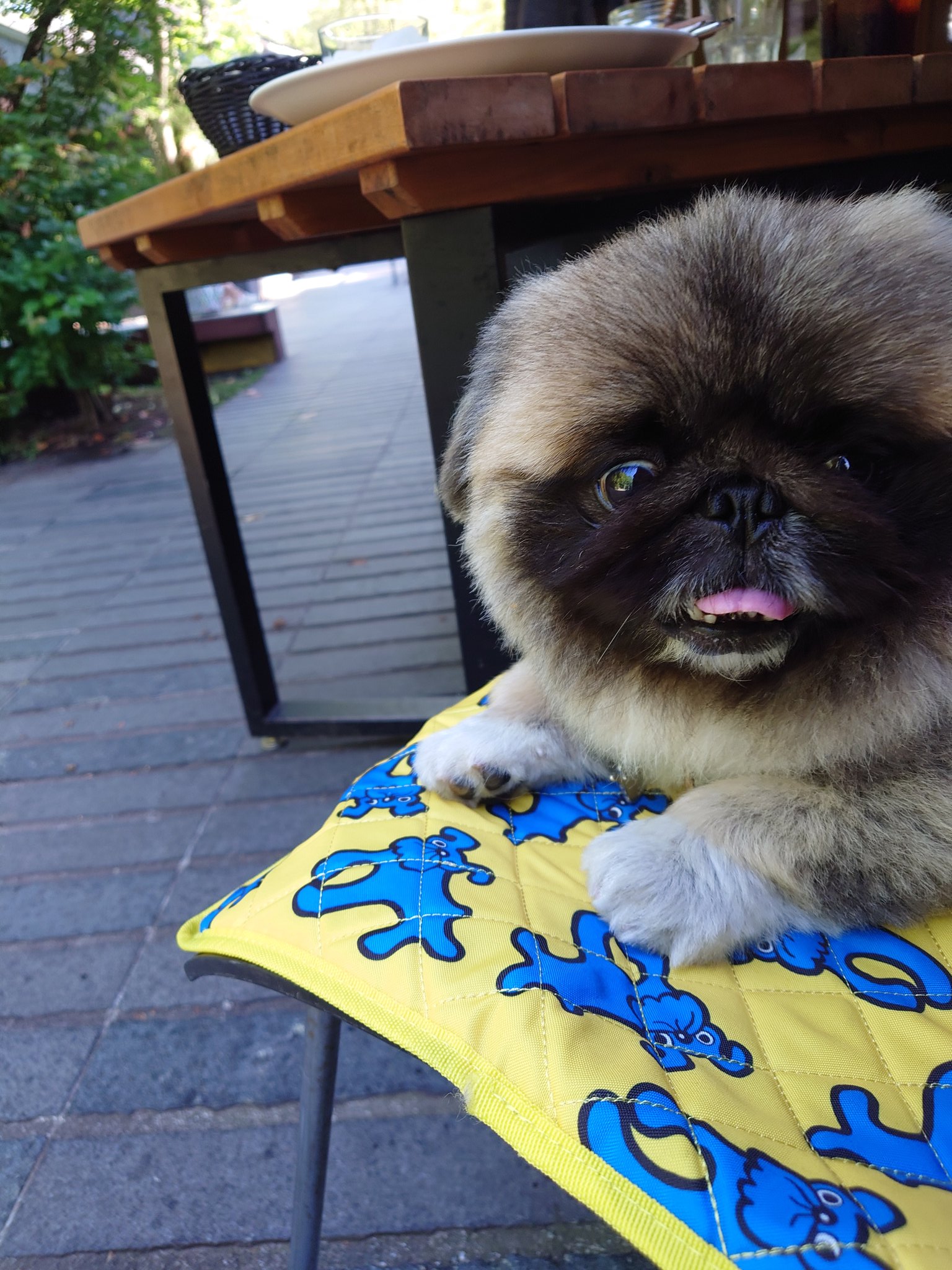 ハンバーガー　プロフ必読 3000日バーガーが食べたくなったらコメントに“🍔🥩“て書いて教え