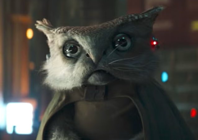 StarWarsMeg1's tweet image. The aliens of Skeleton Crew were 🔥