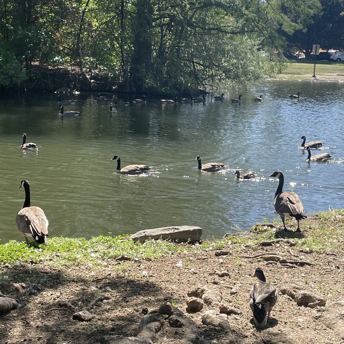 geturwishes's tweet image. woke up feeling kinda sad and couldn’t shake the feeling all day so I decided to take a walk along the river after work