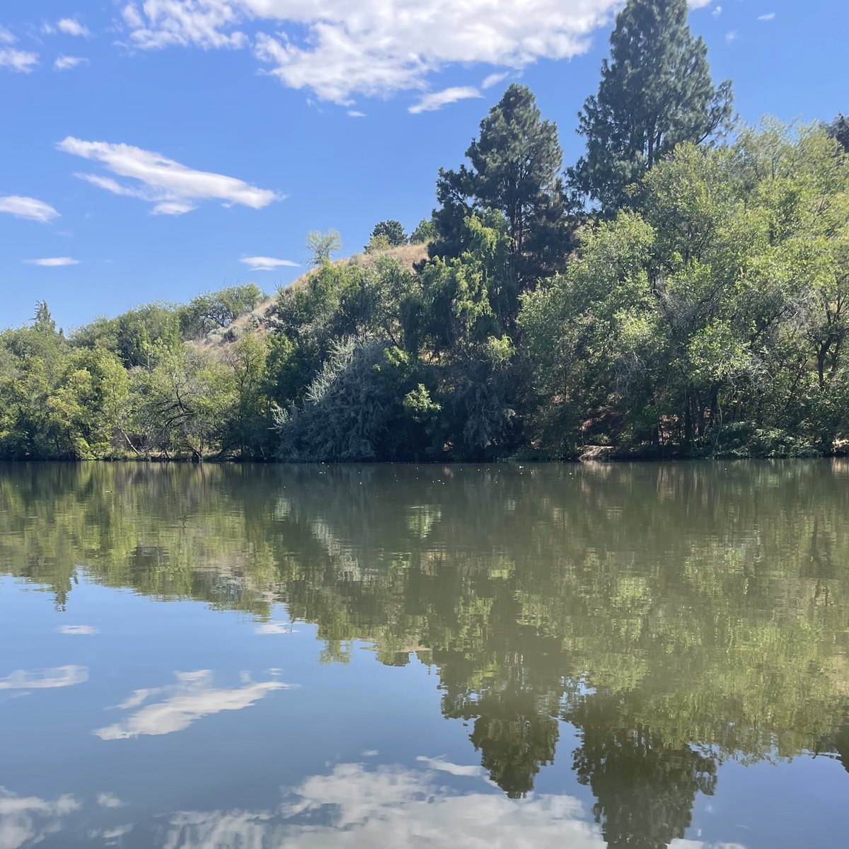 geturwishes's tweet image. woke up feeling kinda sad and couldn’t shake the feeling all day so I decided to take a walk along the river after work