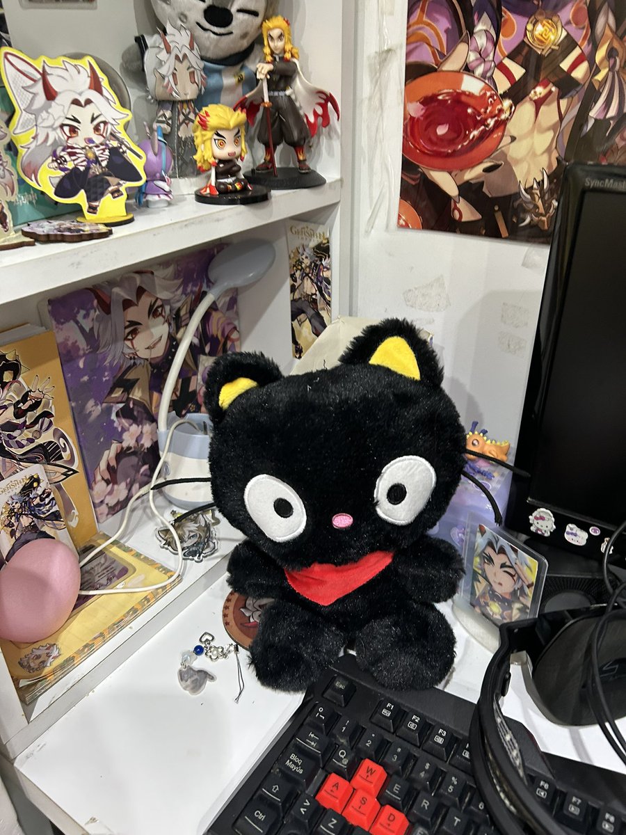 ittoBv's tweet image. chococat si me seguis en twitter te consigo un lugar en mi escritorio