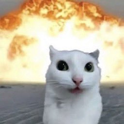 PiliDtowncat's tweet image. TONIGHT ILL STREAM ON LIFESTEAL FINDING THE ORBITAL STRIKE CANON 

EVEN IF IT TAKES ME ALL NIGHT 🐺🔥
