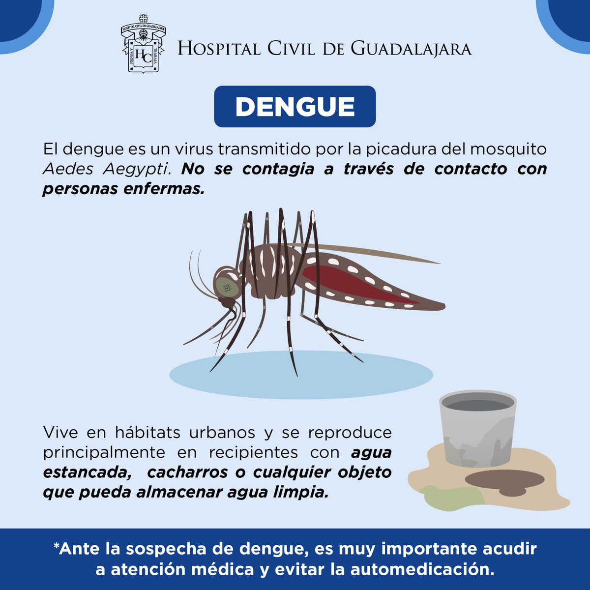 Protégete del #Dengue, una enfermedad viral que si no es tratada a tiempo puede ser mortal en cuestión de horas. 
Por eso es importante saber cómo identificar al mosquito que lo transmite.