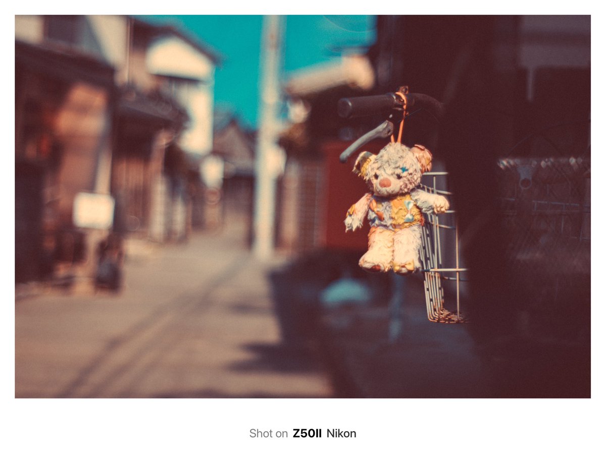 ahuropanda_VRC's tweet image. #Z50II #私とニコンで見た世界