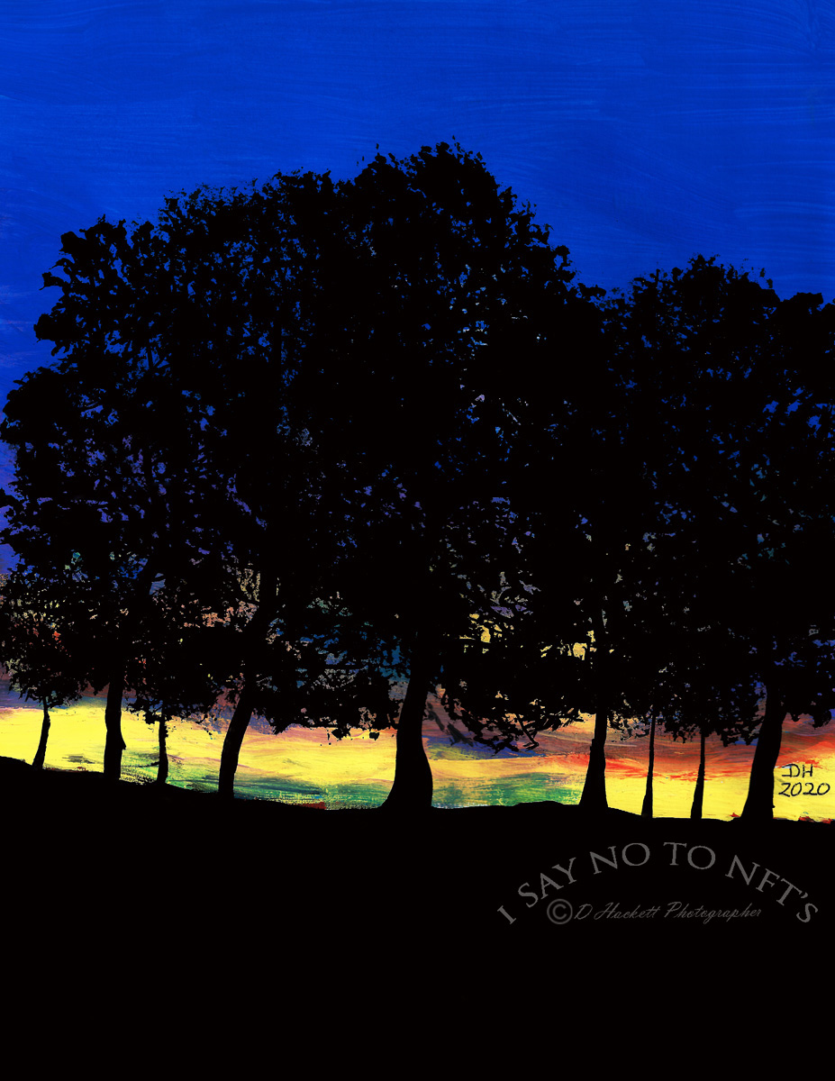 dhackett4150's tweet image. Trees At Twilight by D Hackett Living in rural Florida provides me with many amazing sunsets and colorful skies which was the inspiration for this painting, acrylics on canvas. donna-hackett.pixels.com/featured/trees…