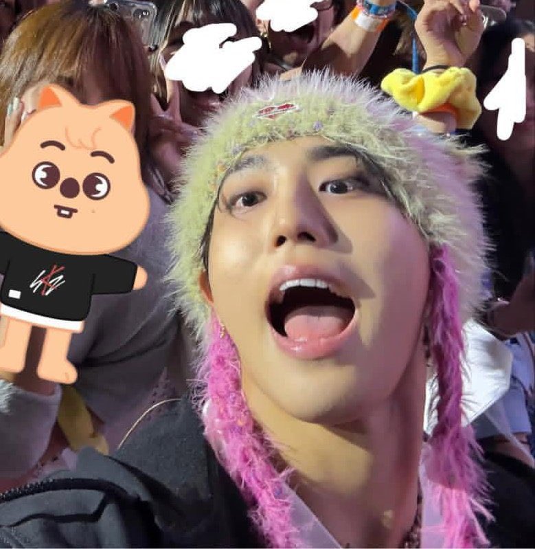 misoduckie's tweet image. my baby ham 😭💖