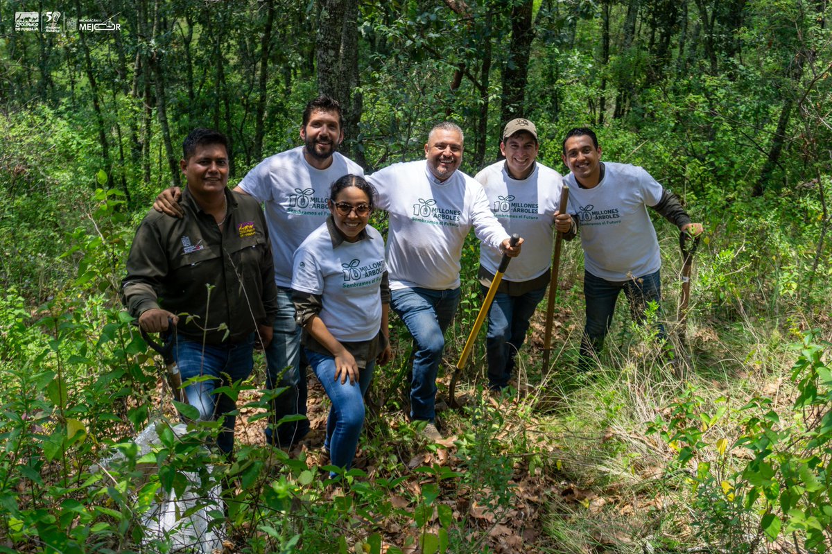 Participamos en la Jornada de Reforestación en el Cerro de la Nieve, en Acuitzio, porque ZooMorelia es una dependencia que sabe que sembrar un árbol, es sembrar vida y esperanza. ¡Súmate, cada árbol, un nuevo comienzo, sembramos futuro 🌲🌳🌿🌱!