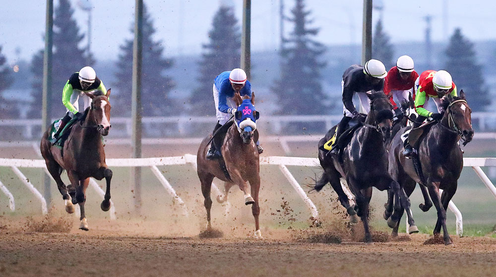 AssiniboiaDowns's tweet image. Twolefttoload Posts Upset in R.C. Anderson Stakes at ASD; Keplin, Gourneau, and Balroop Score Four Wins Each asdowns.com/twolefttoload-… (Jason Halstead / Assiniboia Photo)
#ASD #ASDowns #AssiniboiaDowns #DoTheDowns #Winnipeg #Manitoba #HorseRacing #Breeders #Trainers #Jockeys…