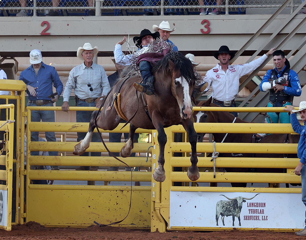 TwisTEDRodeo's tweet image. The @LeaCountyFair Board entrusts its rodeo to the professionals at #PeteCarrProRodeo, which is a key reason why so many top contestants head to Lovington every year. twistedrodeo.com/2025/07/27/top… 📸 Cowboy Images/Peggy Gander photo of Weston Timberman on Carr's Secret's Out