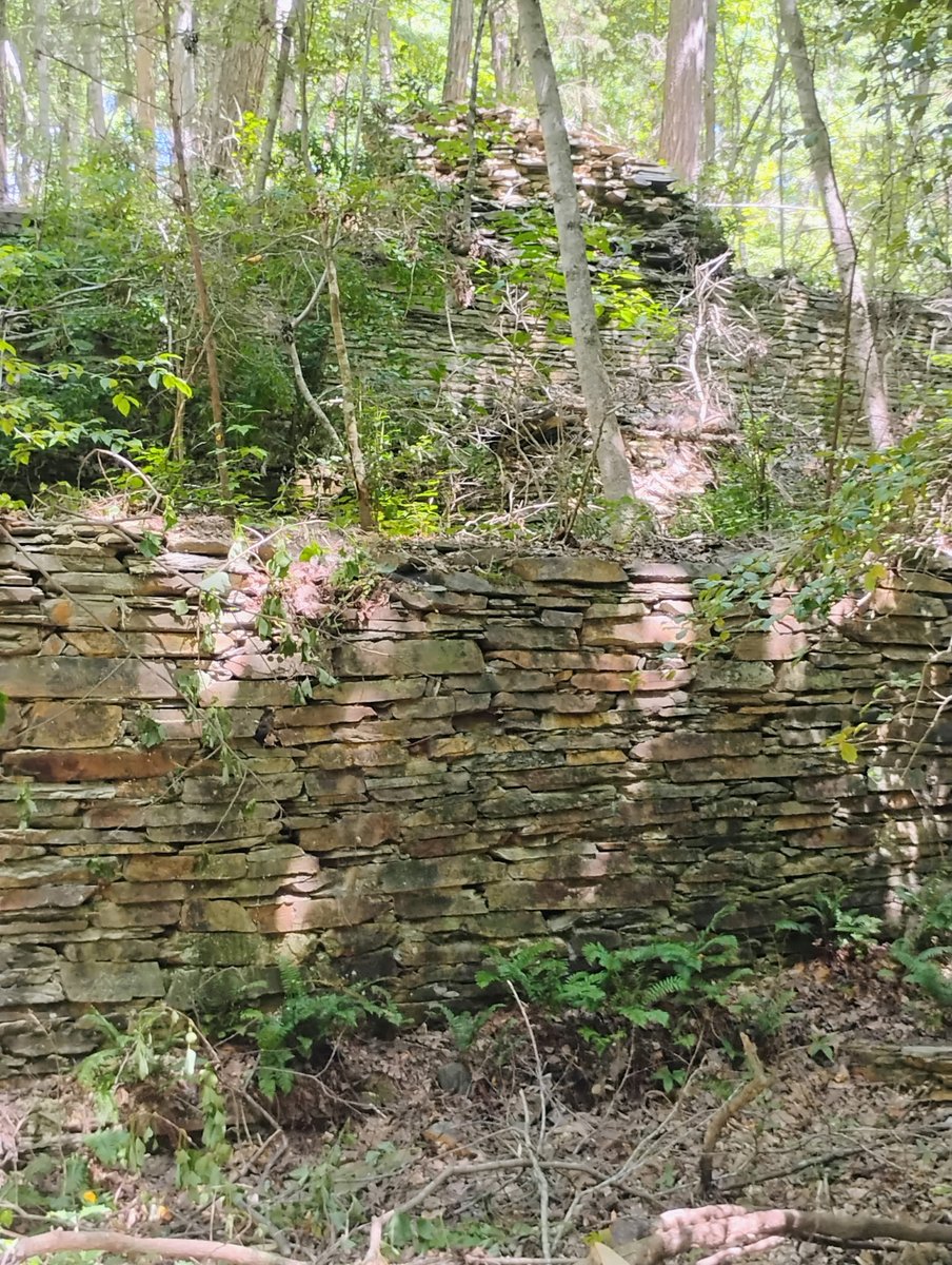 NotImportant75's tweet image. Strange things in the woods.