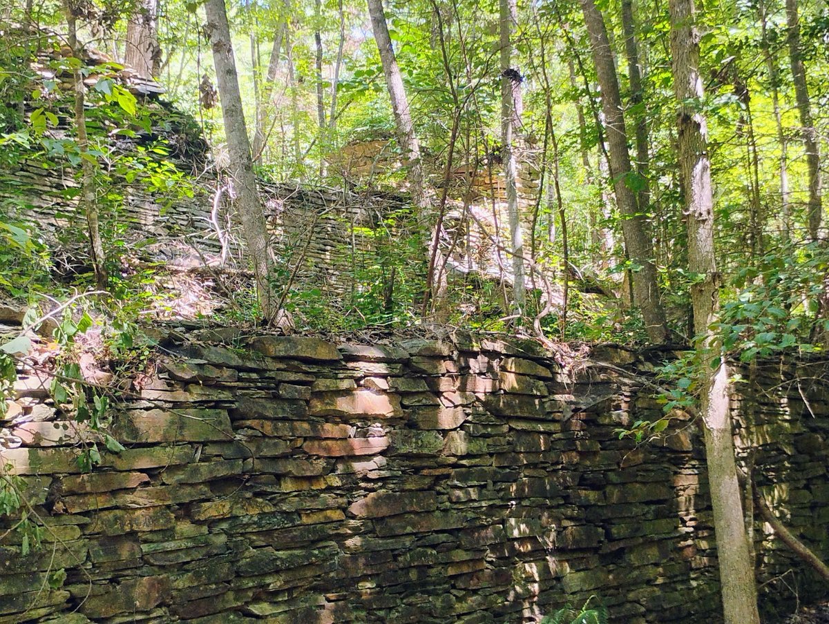 NotImportant75's tweet image. Strange things in the woods.