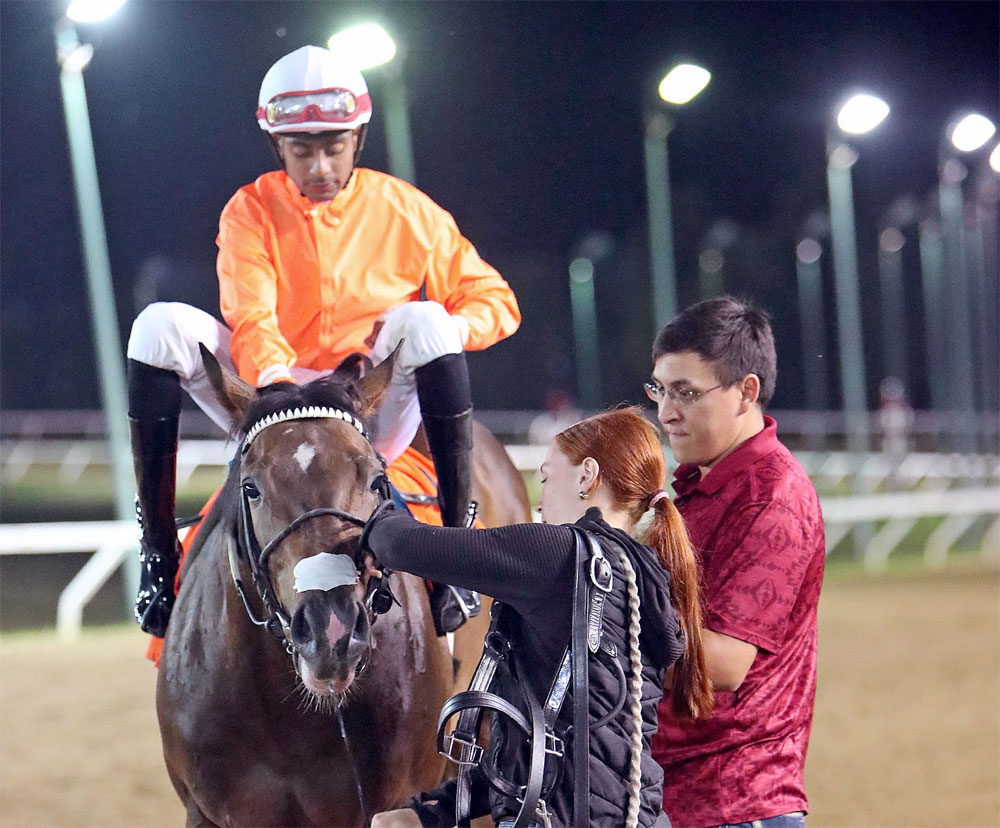 AssiniboiaDowns's tweet image. Twolefttoload Posts Upset in R.C. Anderson Stakes at ASD; Keplin, Gourneau, and Balroop Score Four Wins Each asdowns.com/twolefttoload-… (Jason Halstead / Assiniboia Photo)
#ASD #ASDowns #AssiniboiaDowns #DoTheDowns #Winnipeg #Manitoba #HorseRacing #Breeders #Trainers #Jockeys…