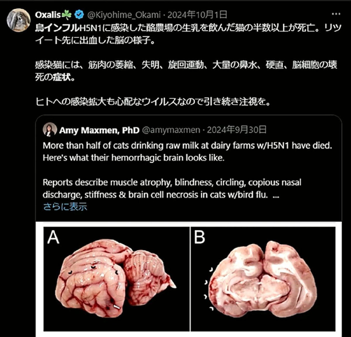 tsskk10's tweet image. 