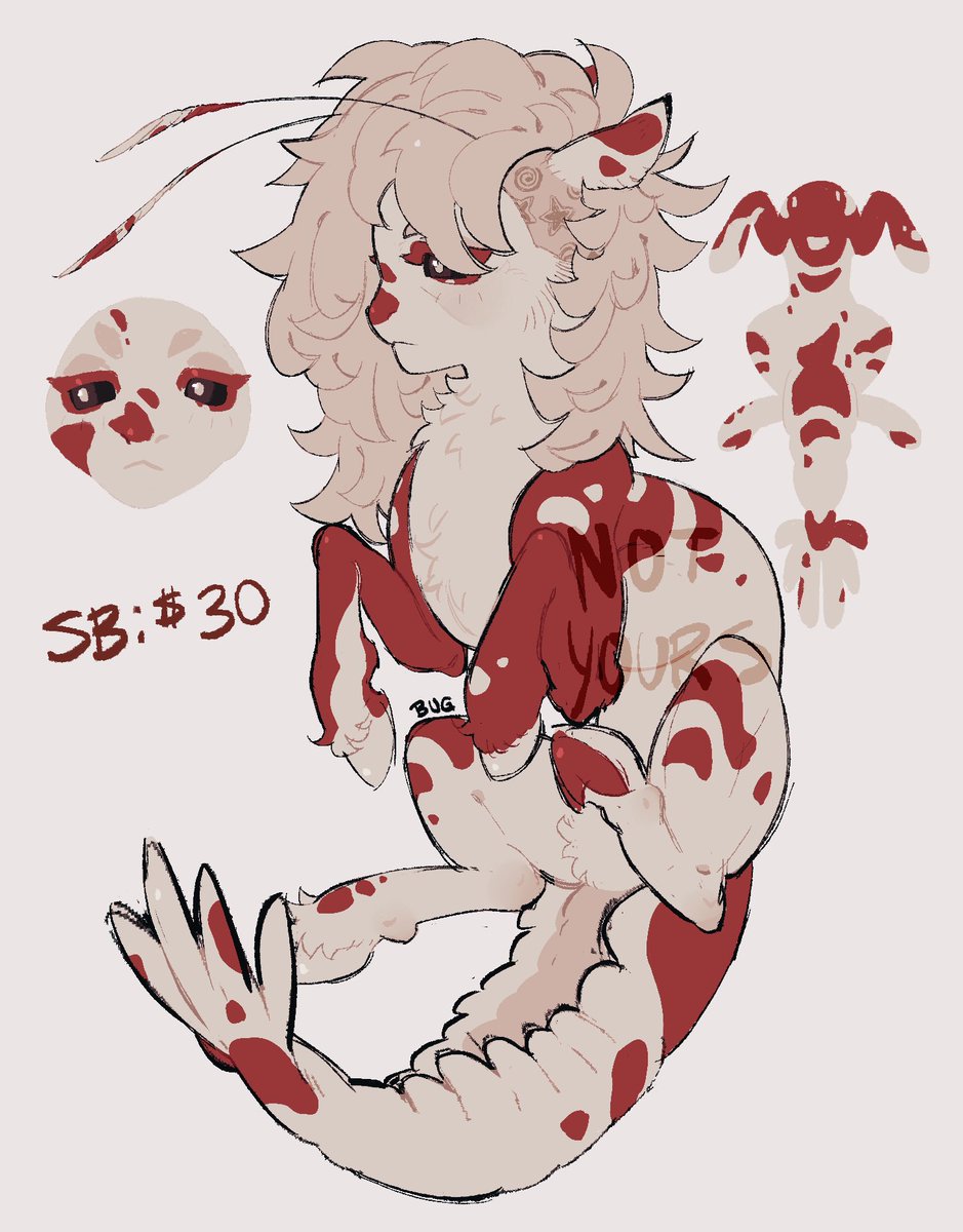 bugbirdboy's tweet image. red crystal shrimp pony adopt,,, dm if ur interested :3