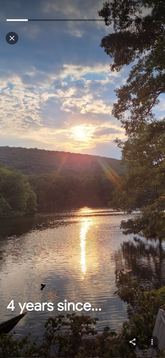 1Michelle17Q's tweet image. This was my backyard for 3 yrs
... I was so grateful