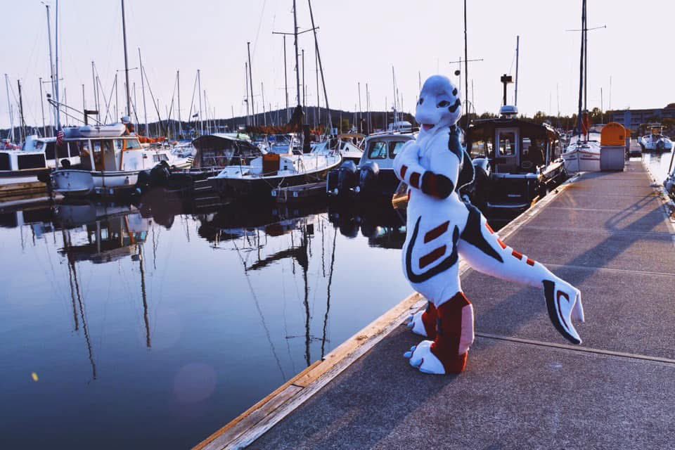 Twilight_Saint's tweet image. Fair winds &amp;amp; following seas, shipmate~🛥🛫Happy #SkyproSunday 🐳

#furry #furries #fursuit #fursuits @Skyprocostumes