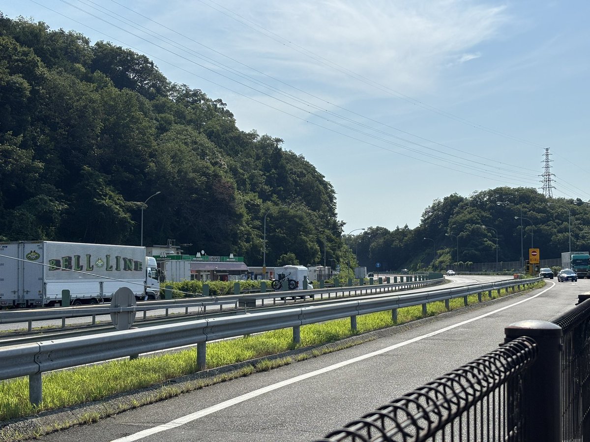 temo102's tweet image. 対岸にモスが見える…もすもす…