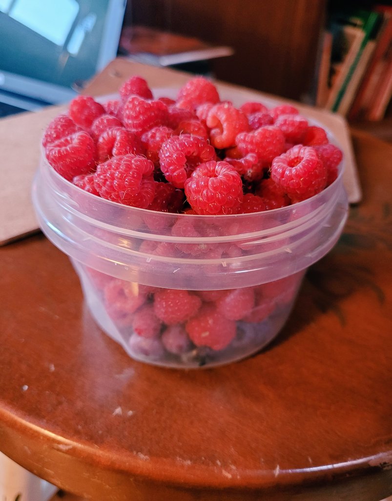 Based_Jedi's tweet image. Wild foraging results for today