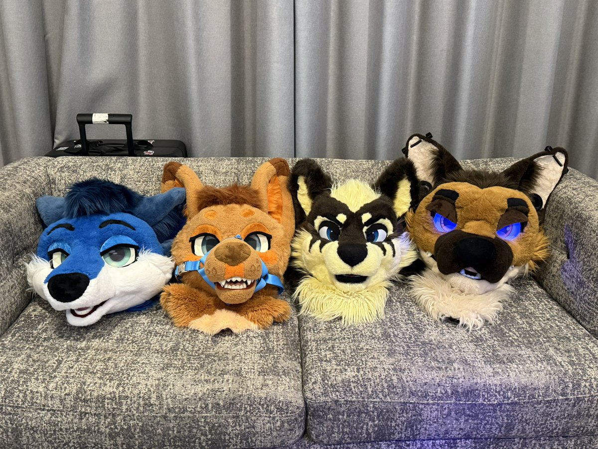gangstaguru123's tweet image. Another con comes to an end, but had an awesome time at @Aurawra_con as always. 

Also, shout out to @Anthonyarmstro @BlueFoxWhistler and @DingusDingoAU for being great roomies 💚

1st 📸 - @herzogmeow 

#Aurawra25 #Aurawra2025