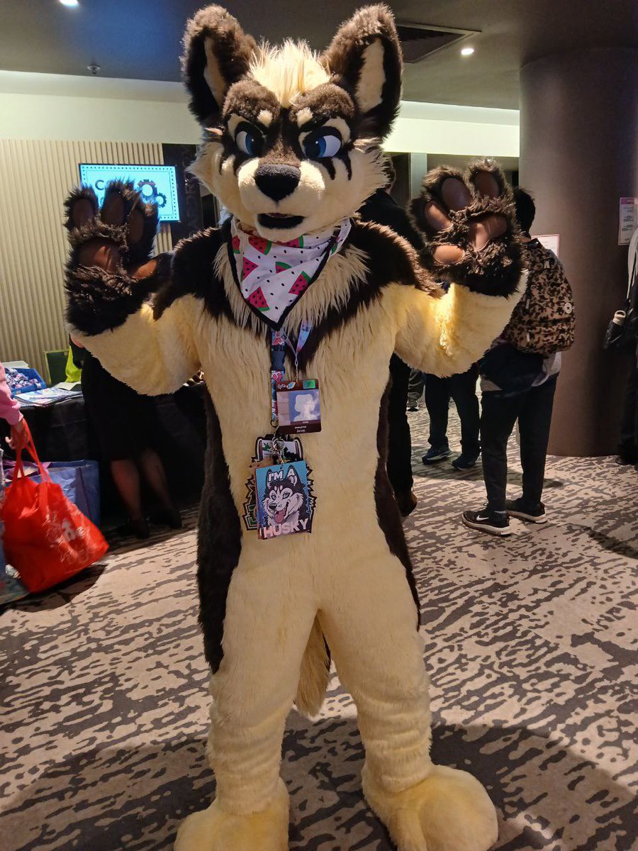 gangstaguru123's tweet image. Another con comes to an end, but had an awesome time at @Aurawra_con as always. 

Also, shout out to @Anthonyarmstro @BlueFoxWhistler and @DingusDingoAU for being great roomies 💚

1st 📸 - @herzogmeow 

#Aurawra25 #Aurawra2025