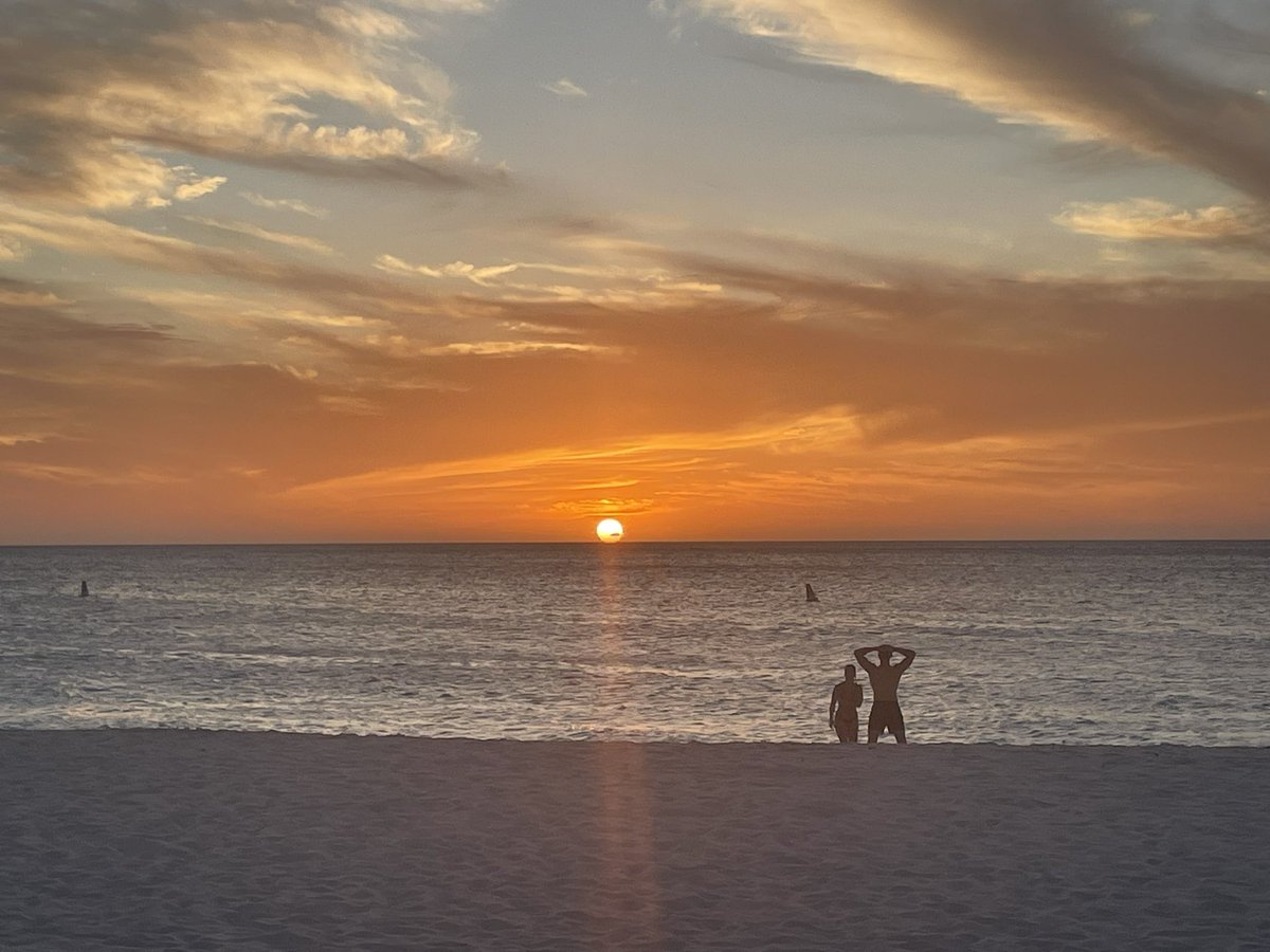 AvisVerde's tweet photo. #DjAvis ๐ผ๐ง #NiceSunset https://t.co/OFONA9PFqj https://t.co/l5Bz1eenHG