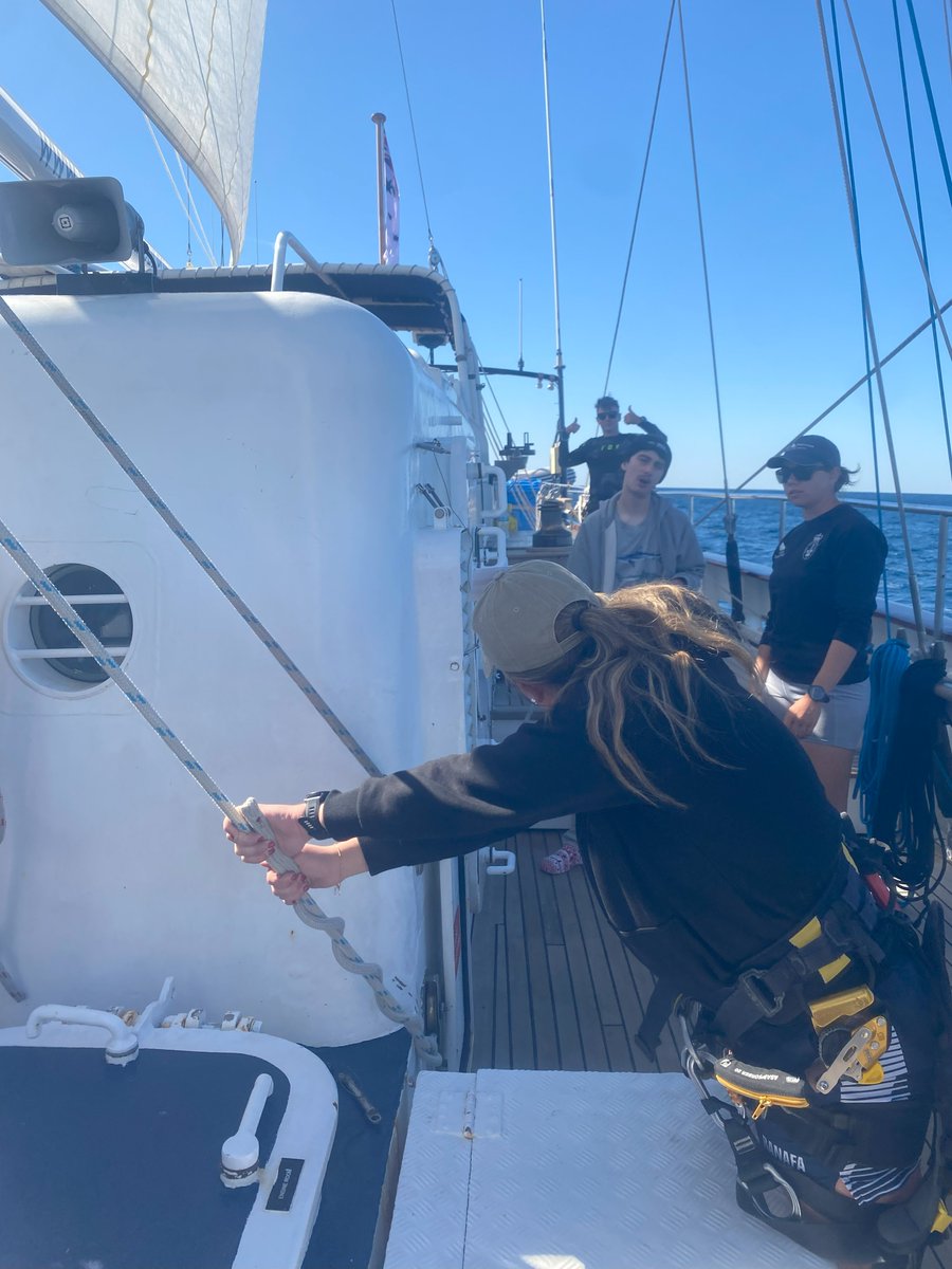 YoungEndeavour1's tweet image. ⚓Captain's Log V13/25 - Day 03
"Day 3 sees the ship in building winds & seas but nothing we can’t handle! With shelter promised in the lee of Dirk Hartog Island we remain close hauled and heeled over as this beautiful blue ship dances her way South across the Indian Ocean..."