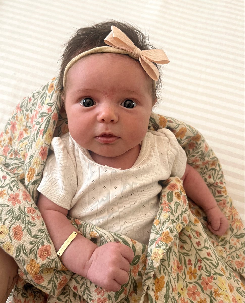 Derek Farnsworth tweet media