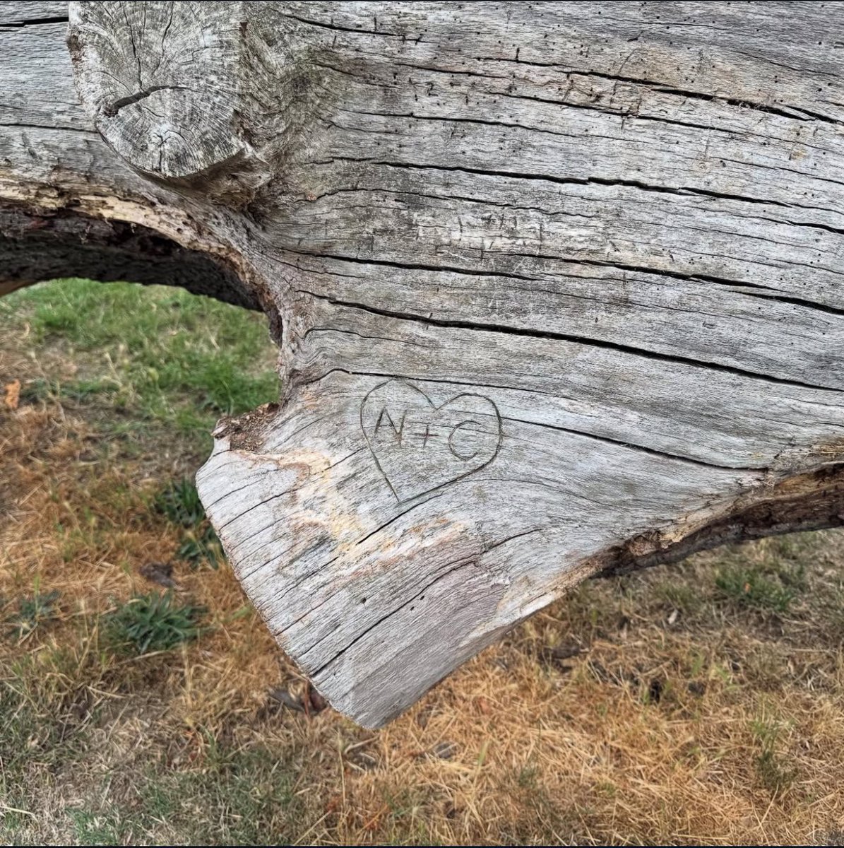 reddishkit's tweet image. Nick and Charlie will forever be in their forever place