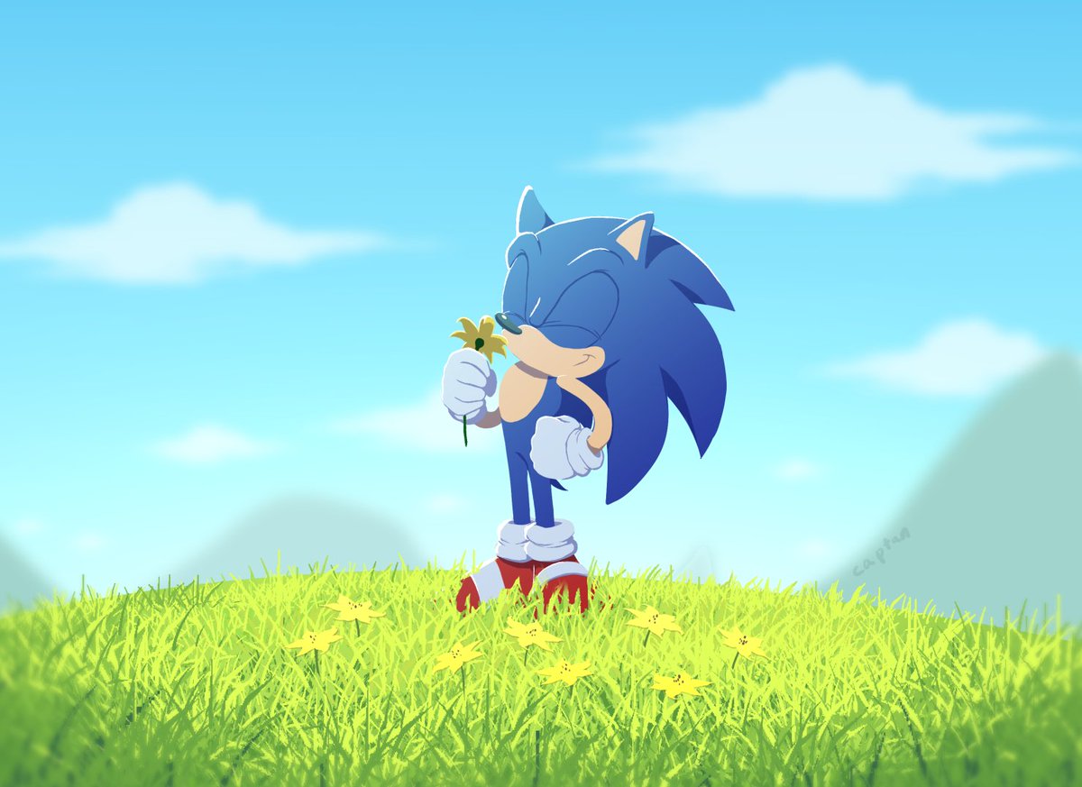 SuiEel's tweet image. Flower (2021)
