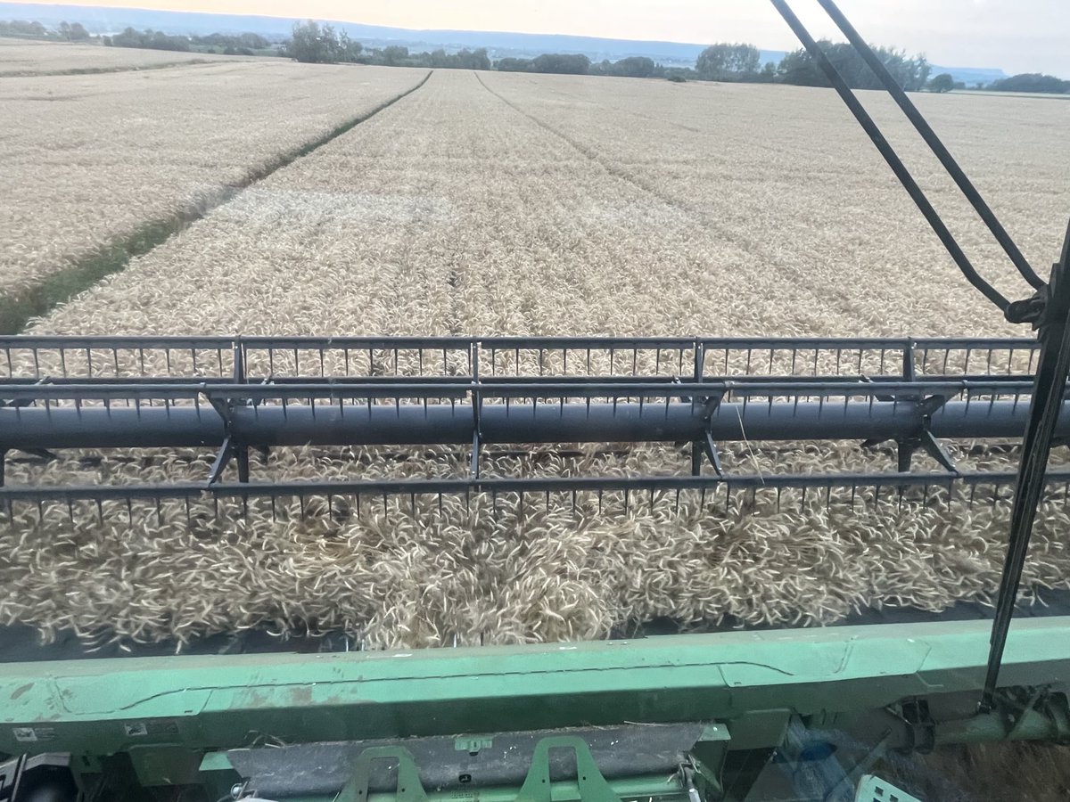 Planter 7.5”/ 15” vs Drill 7.5” wheat yield trials coming off, will post results