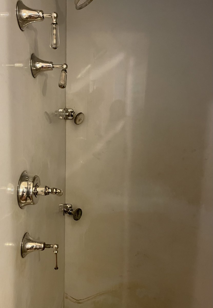 LiLa__lee18's tweet image. This blew my mind about the Crane estate. This was Cornelius’s bathroom. Delft tile and a standing marble shower with multiple jets in the 1920s.
It’s 2025 and I don’t have multiple jets 😂