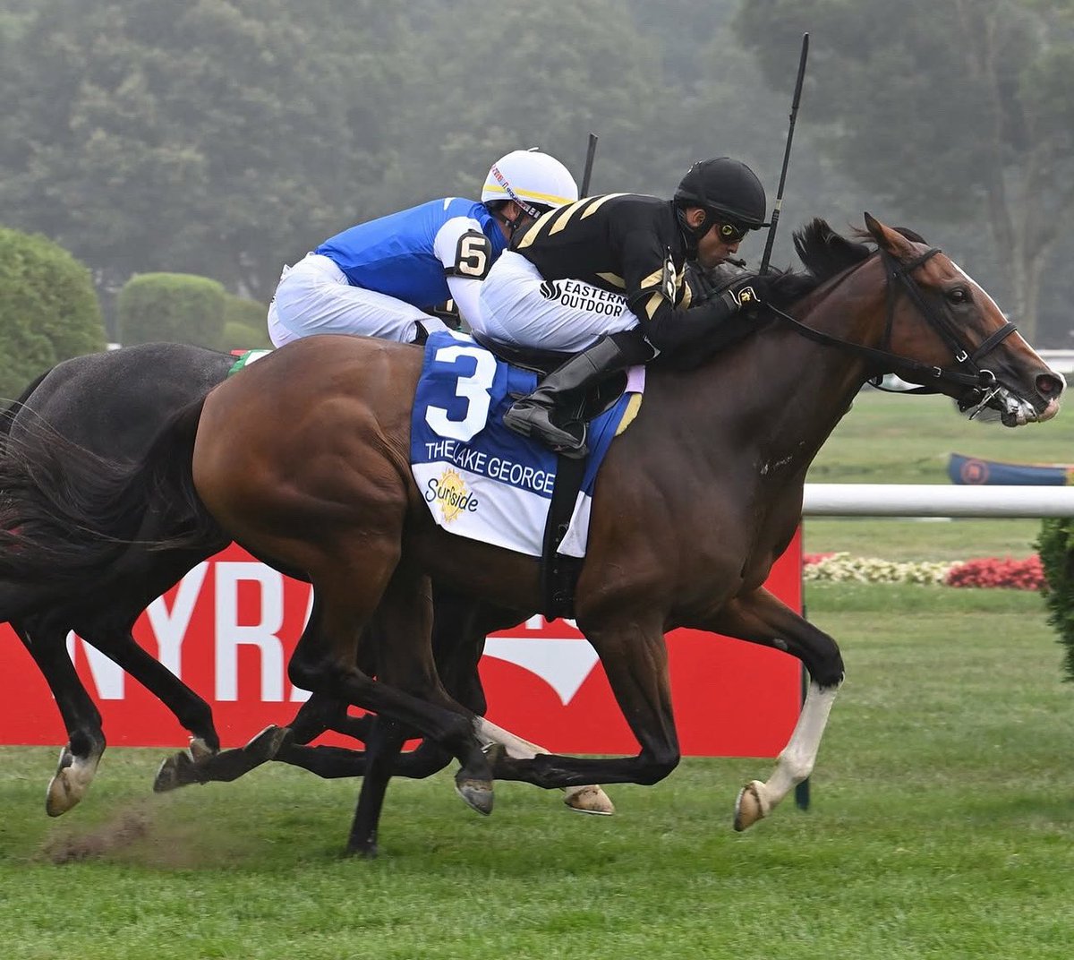 Stakes Winners 🏆 (@stakeswinners) on Twitter photo 🏆 DAISY FLYER
(Jose Lezcano - George R. Arnold II)
LAKE GEORGE STAKES 2025 ($175,000) Saratoga <a href="/TheNYRA/">NYRA (🎪)</a> <a href="/CalumetFarm/">Calumet Farm</a> <a href="/BreedersCup/">Breeders' Cup</a>
📷 <a href="/coglianesephoto/">Coglianese Photos</a> 🏆 DAISY FLYER
(Jose Lezcano - George R. Arnold II)
LAKE GEORGE STAKES 2025 ($175,000) Saratoga <a href="/TheNYRA/">NYRA (🎪)</a> <a href="/CalumetFarm/">Calumet Farm</a> <a href="/BreedersCup/">Breeders' Cup</a>
📷 <a href="/coglianesephoto/">Coglianese Photos</a>