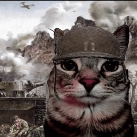 shiina (@realshiina) on Twitter photo 