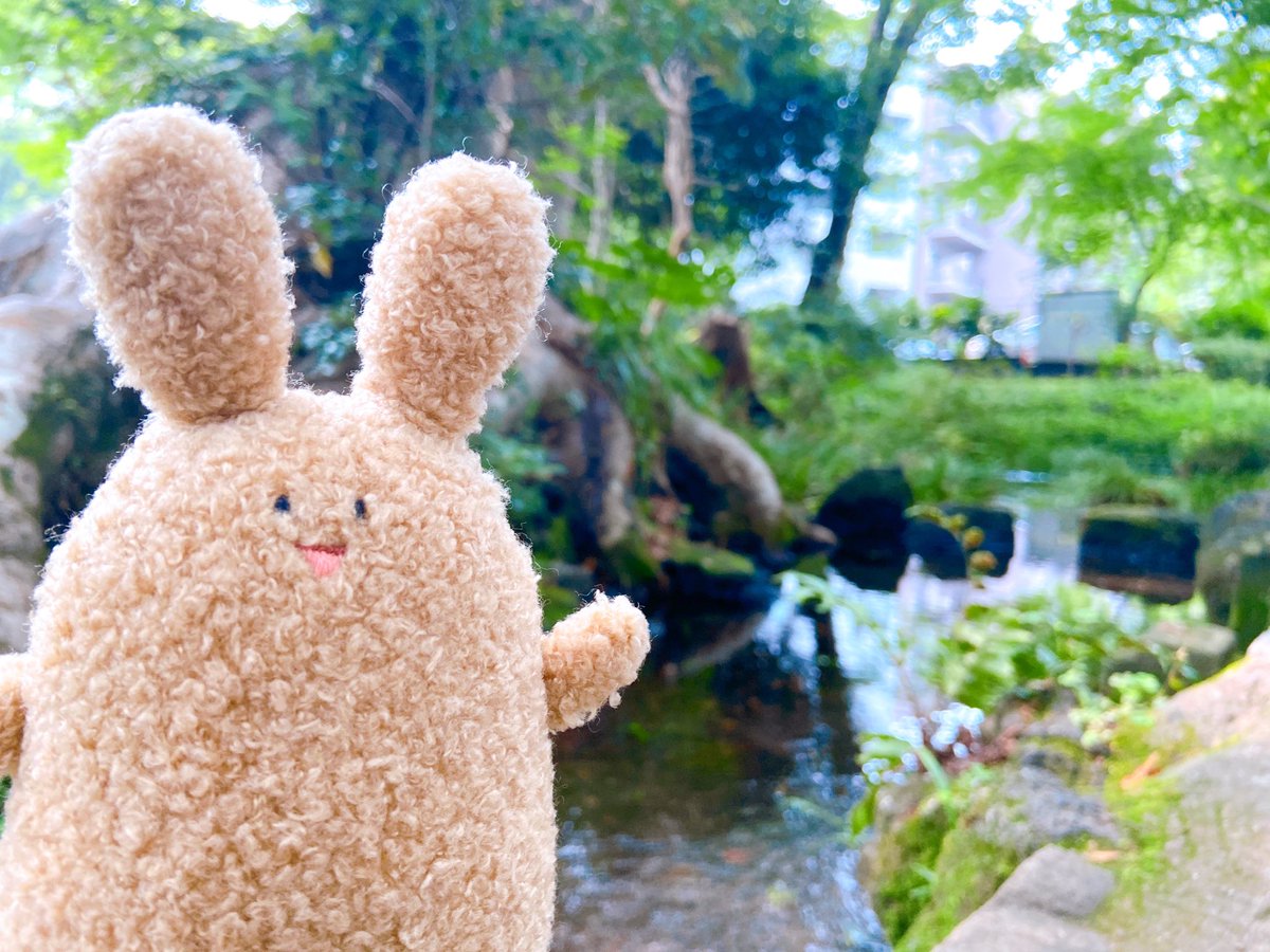 rasuko_okuma's tweet image. ボナヴ〜！！🌳✨️✨️