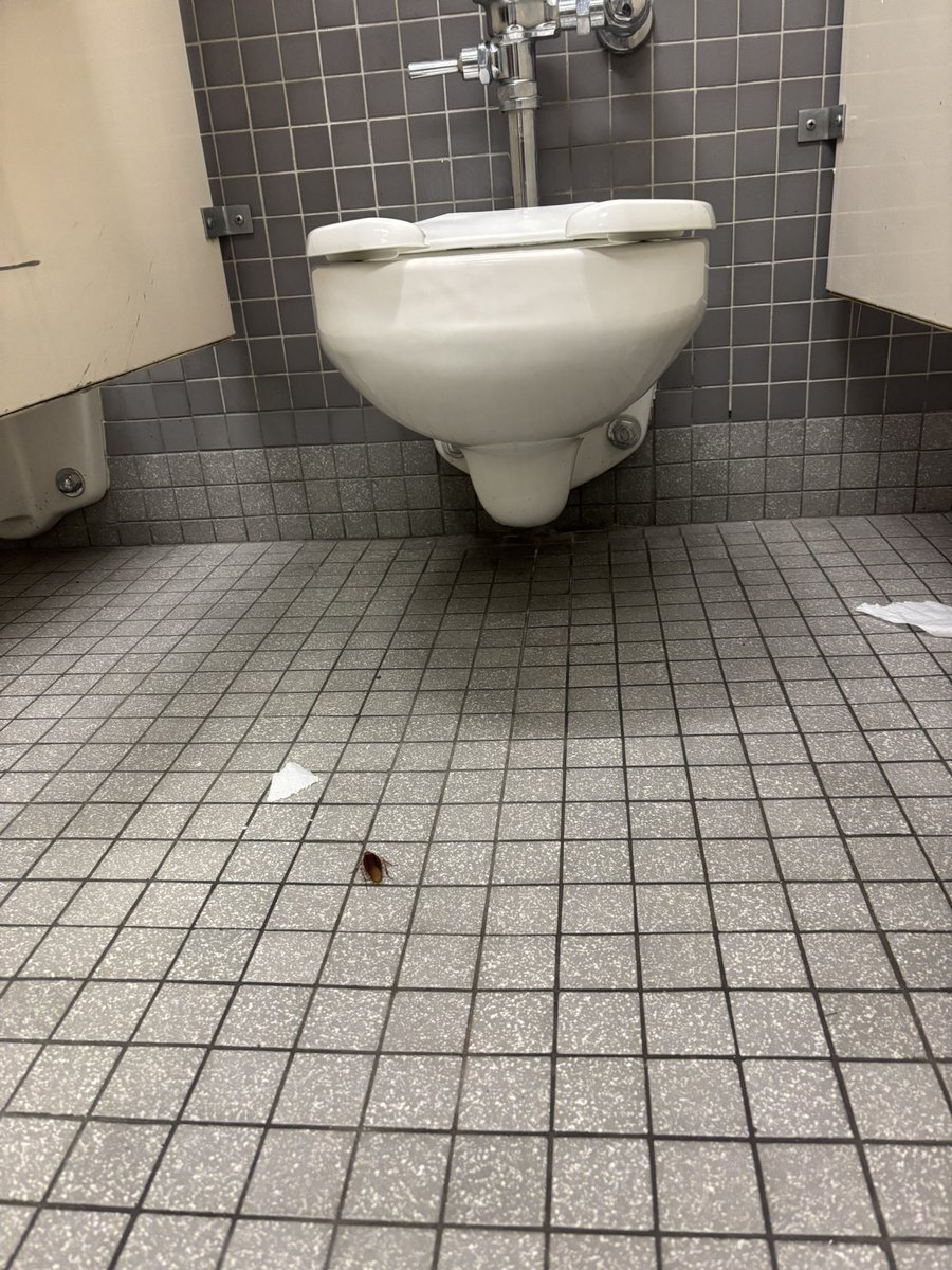 ponilulu's tweet image. this big ass cockroach in the bathroom when i wanted to shit😭pics dont do justice to how big this guy is hes kinda cute tho