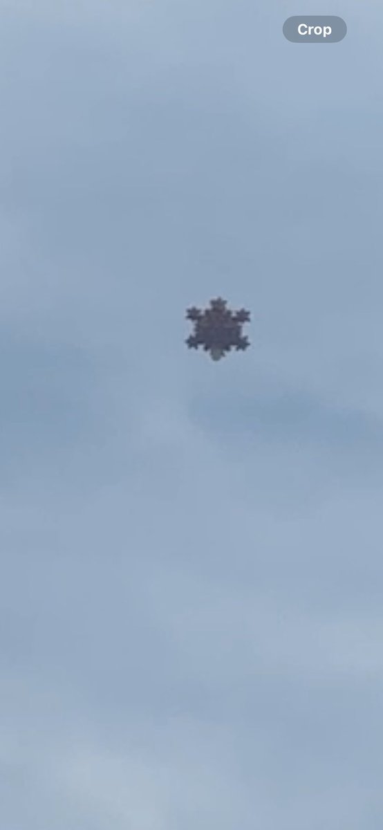 euphyliac's tweet photo. Acabo de ver un ovni. Era una estructura flotando en medio de los campos en la carretera de Jalisco. Era enorme, orbitaba, no tenía hilos y tenía la forma de un Merkaba 
Si alguien más sabe que era díganme parfavaaaaaar. https://t.co/eIn4jHuU5g